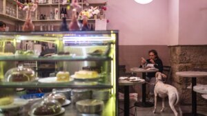 Los bares y restaurantes que recomienda la Guía Repsol para ir con tu mascota: 270 Soletes 'pet friendly'