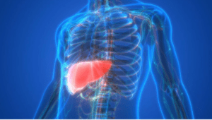 Los efectos en el cuerpo del hígado graso y cómo prevenirlo