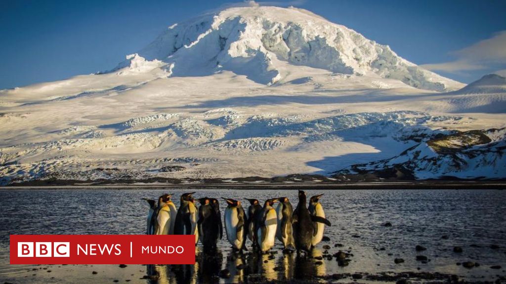 "No sé qué le hicieron los pingüinos a Trump": cómo las islas deshabitadas Heard y McDonald acabaron en la lista de aranceles de EE.UU.