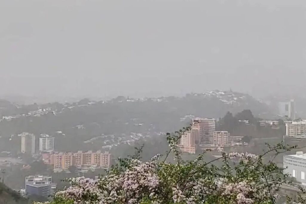 Pronóstico