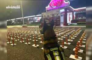 Pretendían trasladar 156 kilos de cocaína en envases de condimentos desde Táchira a Bolívar