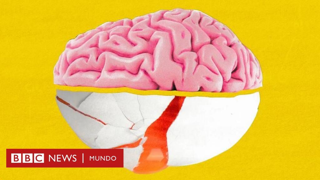 Qué es la colina, el nutriente que es vital para nuestro cerebro (y en qué alimentos se encuentra)