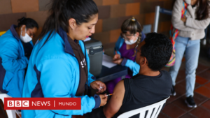 Qué es la fiebre amarilla, la enfermedad por la que Colombia declaró emergencia sanitaria tras la muerte de más de 30 personas