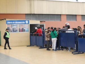 Qué podría hacer el Gobierno con la emergencia económica por fiebre amarilla | Gobierno | Economía
