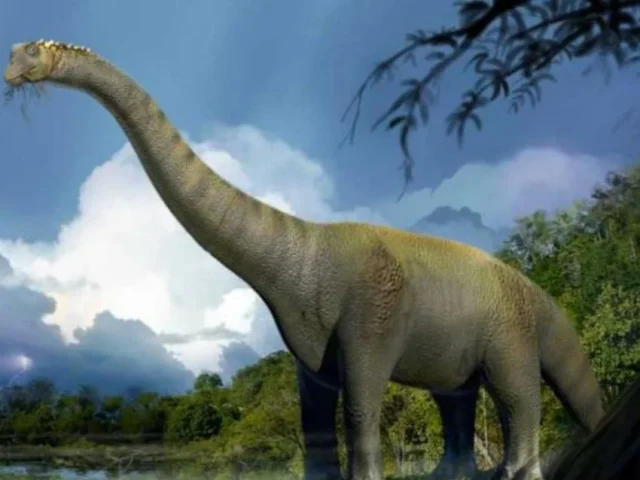 Rocasaurus muniozi: el dinosaurio que respiraba como un ave, desenterrado en Argentina