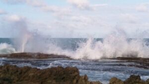 olas
