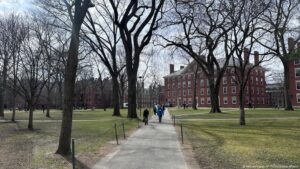 Trump amenaza a Harvard con veto a estudiantes extranjeros – DW – 17/04/2025