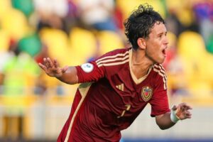 Vinotinto (2)