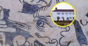 aparecen en una casa Tudor del siglo XVI extrañas criaturas y plantas decorativas en unas pinturas ocultas durante mucho tiempo