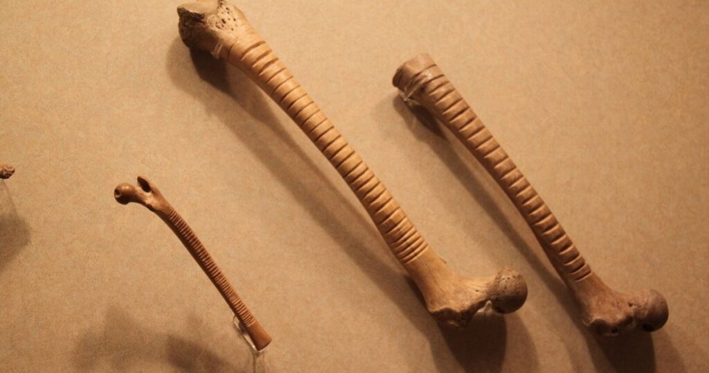 arqueólogos descubren un instrumento musical de hace 700 años tallado en un hueso humano