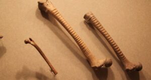 arqueólogos descubren un instrumento musical de hace 700 años tallado en un hueso humano