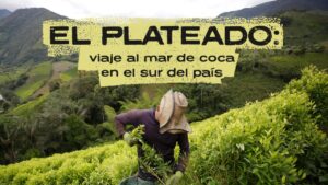 dónde queda y cómo se vive en el mar de coca que defienden las disidencias