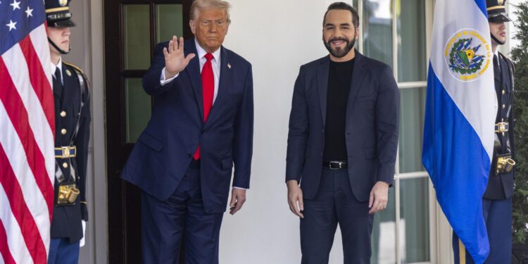 Trump Bukele
