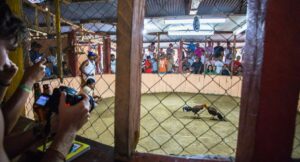 sale video que muestra robo y muerte de 12 personas