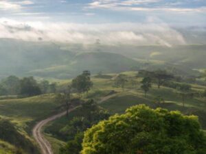 ‘Elefantes blancos’ en obras: $20 billones podrían perderse en proyectos viales | Infraestructura | Economía