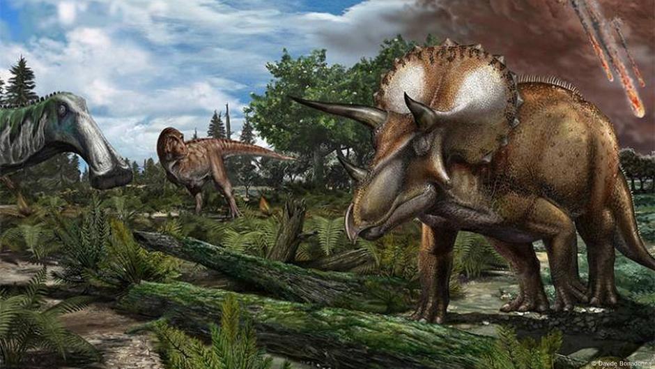 ¿Estaban los dinosaurios en declive antes de extinguirse? – DW – 07/05/2025