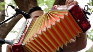 A esta hora Valledupar corona a un nuevo Rey Vallenato