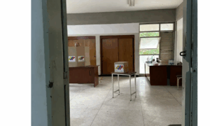 Abstención masiva y poco arrastre de promotores del voto alimentaron a la "aplanadora" del Psuv