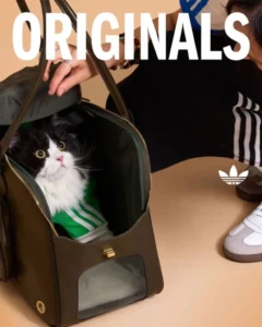 Adidas Originals lanza una colección exclusiva para mascotas
