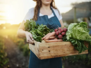 Agro colombiano puede crecer en EE. UU. pese al arancel del 10% | Agro | Economía