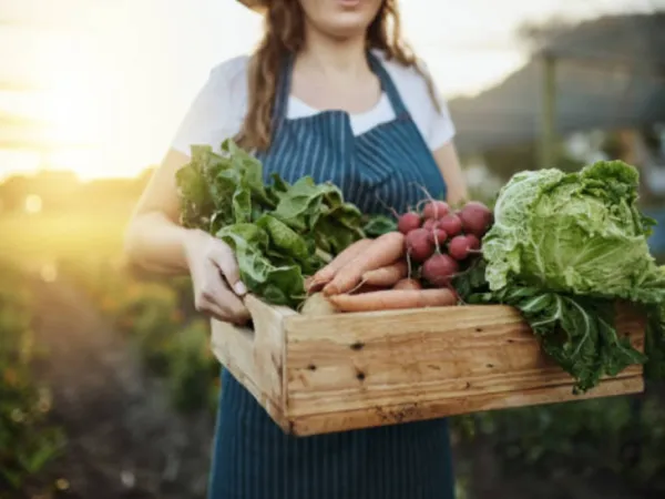 Agro colombiano puede crecer en EE. UU. pese al arancel del 10% | Agro | Economía