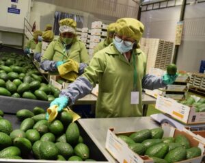Los países con economías más vulnerables estarán entre los más afectados por la ofensiva arancelaria de Estados Unidos, pese a que contribuyen muy poco a su déficit comercial, alerta la Unctad.