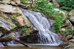Cascada la Mariposa Azul, un atractivo natural que cautiva tus sentidos
