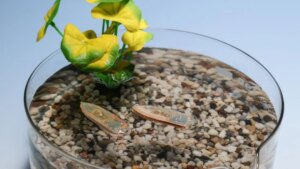 Científicos europeos crean un robot acuático que nada, se deshace y se convierte en comida para peces
