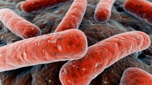 Conozca las cuatro nuevas enfermedades de transmisión sexual