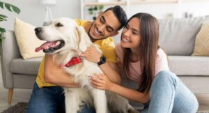 Cuáles son mejores sitios para vivir con mascota en Colombia: arriendo y compra