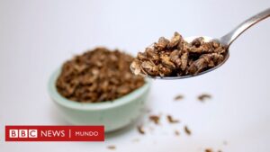 Cuántos insectos deberíamos consumir para sustituir nutritivamente a la carne de pollo, cerdo o vaca