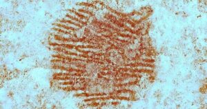 Descubren que un neandertal dejó su huella dactilar en esta piedra en España, quizás mientras pintaba un rostro hace 43.000 años (es la más antigua de Europa)
