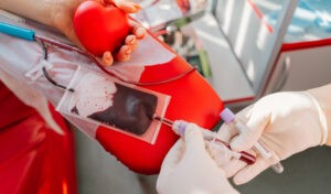 Dona sangre, regala esperanza: un gesto que salva vidas