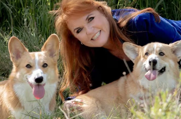 Duquesa de York asegura que Isabel II se comunica con ella a través de sus corgis 