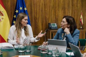 El Gobierno pide más información a los operadores eléctricos para concretar las causas del apagón
