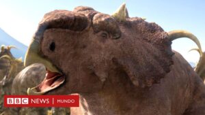 El "Río de la muerte", el monumental cementerio prehistórico que los científicos estudian para reconstruir el final de miles de dinosaurios