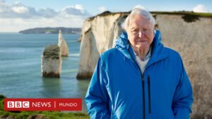 El poderoso y optimista mensaje sobre el futuro del planeta de David Attenborough, el célebre naturalista británico, en su 99 cumpleaños