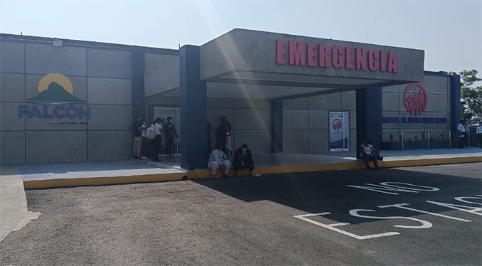 Enjambre de abejas atacan a un septuagenario en Punto Fijo