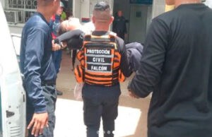 Enjambre de abejas atacó a estudiantes, docentes y demás personas en Falcón