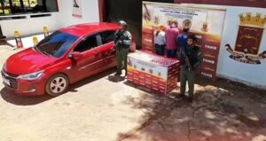 FANB decomisa más de 300 municiones en la Guayana Esequiba