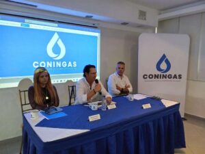 Frecuencia en el despacho de gas se ubica entre 1 o 2 veces por mes