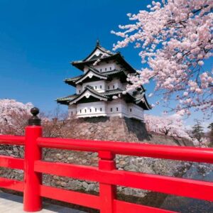 Guía de viaje para Japón: transporte, gastronomía y los lugares más bellos para conocer en el país asiático