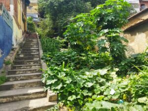 Habitantes piden saneamiento de la quebrada El Jabillo
