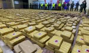 Incautan más de 2,5 toneladas de marihuana y 346 kilos de cocaína en el este de Colombia