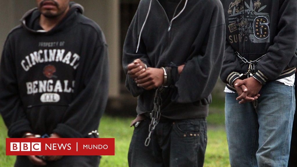 Krome: Las denuncias de las duras condiciones en el centro de máxima seguridad para migrantes en Miami: "Un largo historial de abusos de todo tipo"
