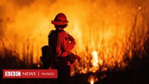 La desesperada carrera por salvar décadas de datos sobre el cambio climático y el clima extremo que están siendo borrados por el gobierno de Trump