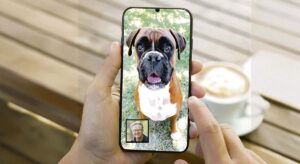 Las 'telecos' celebran el 'boom' de las videollamadas a mascotas