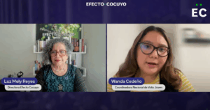 Lo que debe saber de las elecciones del 25 de mayo según Voto Joven #ConLaLuz
