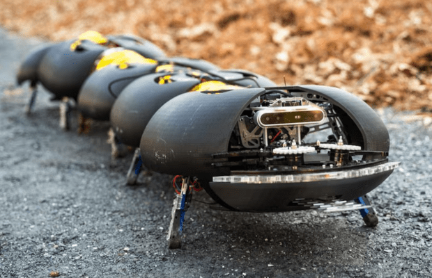 Los «robots ciempiés» serían la revolución del control de malezas