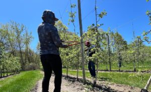 Los trabajadores agrícolas con visado temporal temen por su futuro ante las inciertas políticas federales de Estados Unidos - AlbertoNews